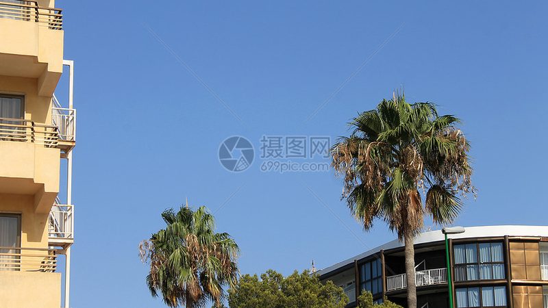 长沙周边秋季自驾游路线攻略：探寻自然与人文的完美融合